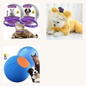 Cat Walk & Adventure Kit