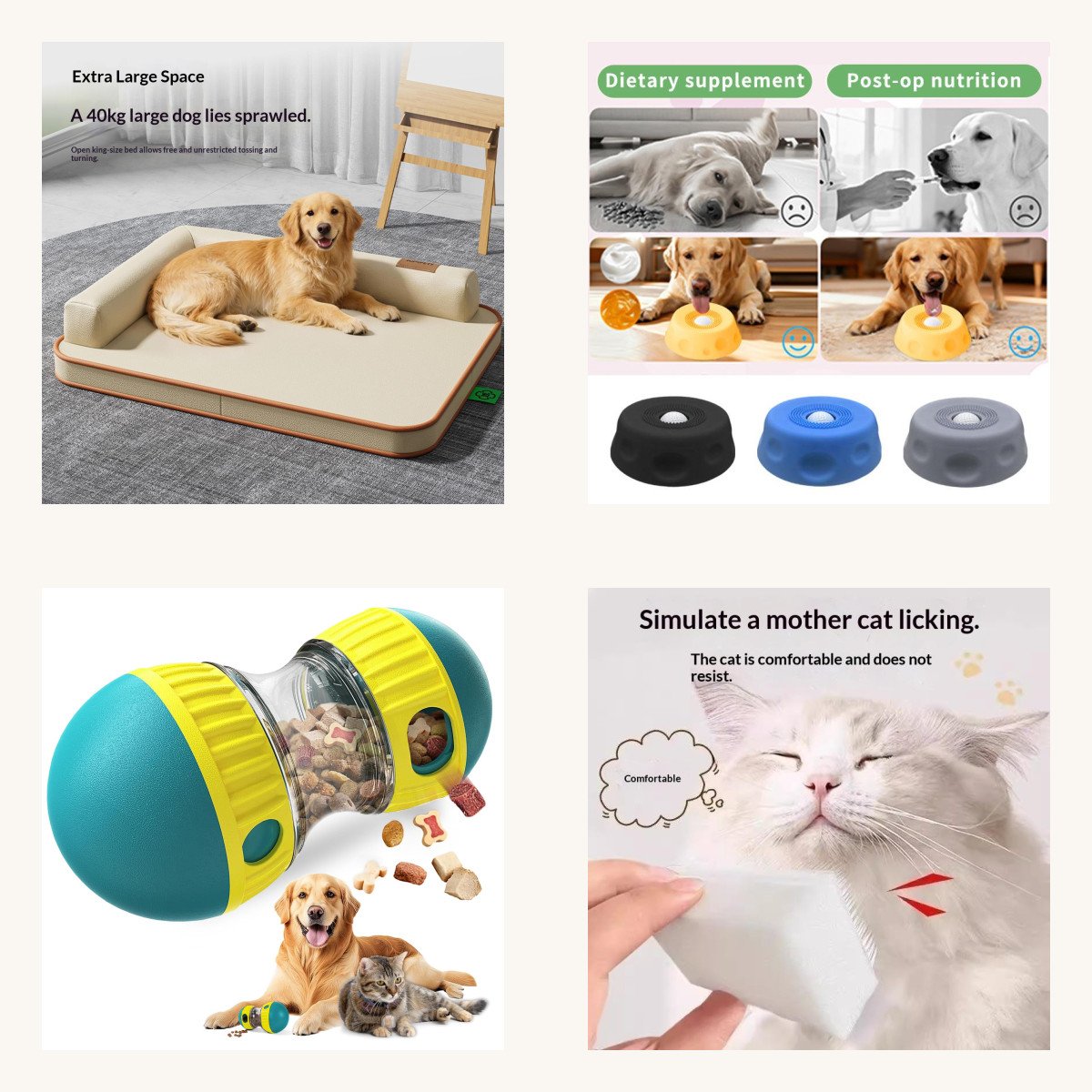 Dog New Friend Starter Kit