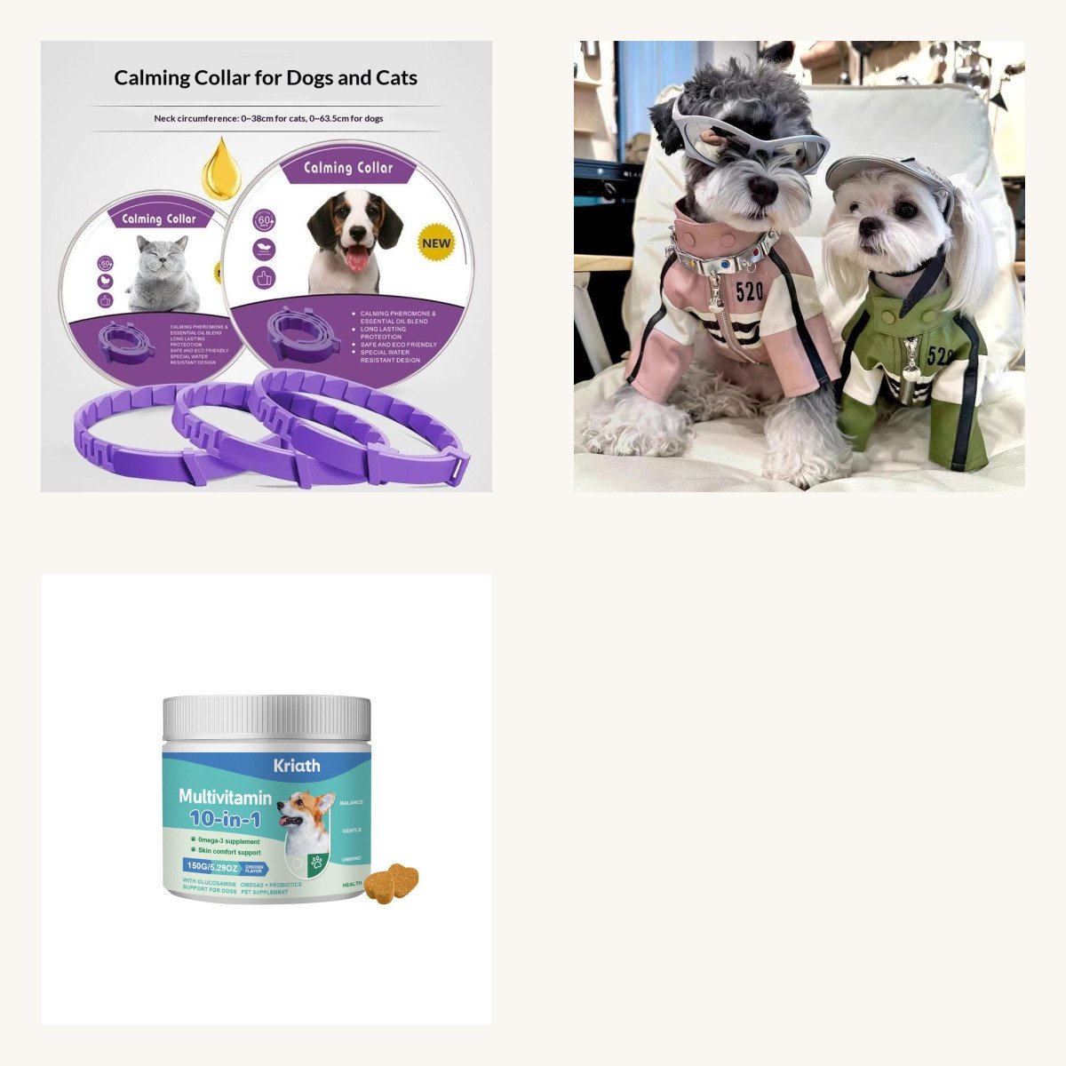Dog Walk & Adventure Kit