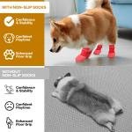 WhisperStep Dog Socks 2