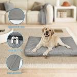 Dog Calm & Relax Kit 3