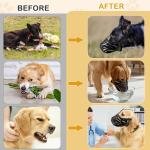 Comfort Muzzle for Sensitive Dogs 3