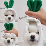 Cozy Fleece Pet Hoodies 6