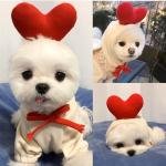 Cozy Fleece Pet Hoodies 2