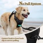 ComfortWrap Pet Harness & Leash 2