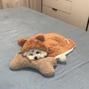 Little Bear Cape