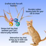 WhisperPlay Cat Companion 5