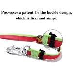 Dual-Color Embossed Pet Leash Set 3
