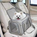 Gentle Travel Companion 6