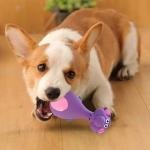 Soothe & Comfort Pet Toys 3