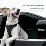 Comfort Wrap Harness 1