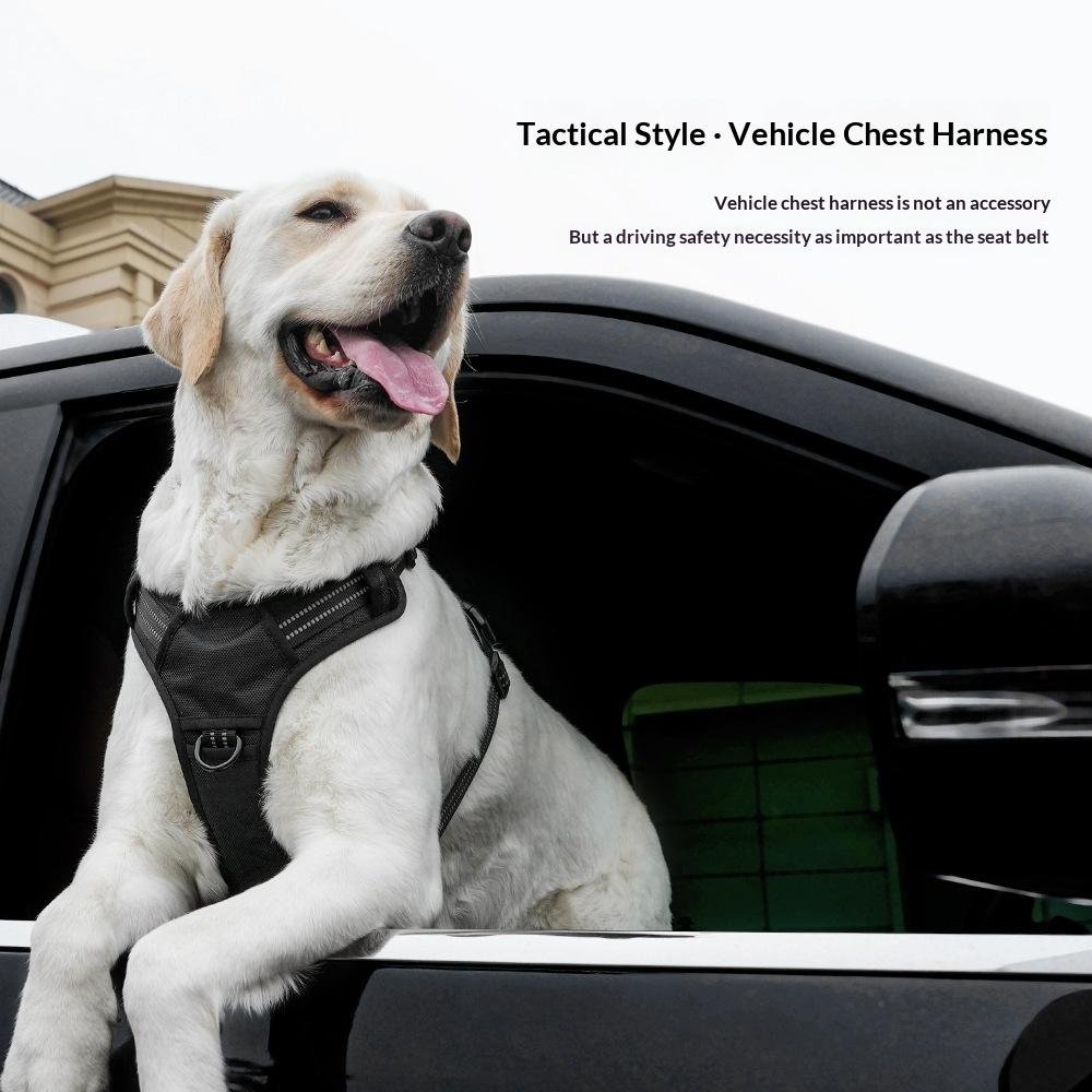 Comfort Wrap Harness