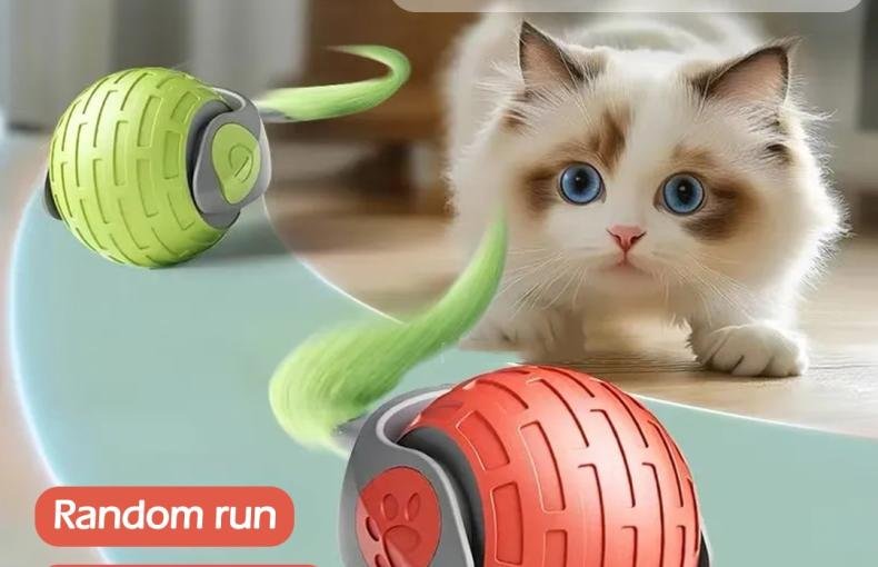 Whisker Delight Interactive Toy