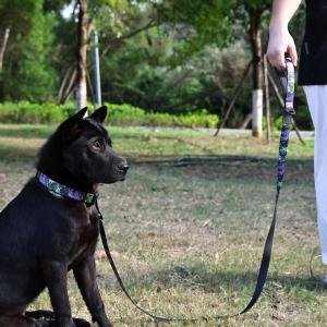 Camouflage Comfort Leash Set