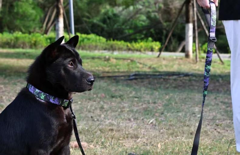 Camouflage Comfort Leash Set