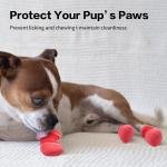 WhisperStep Dog Socks 6