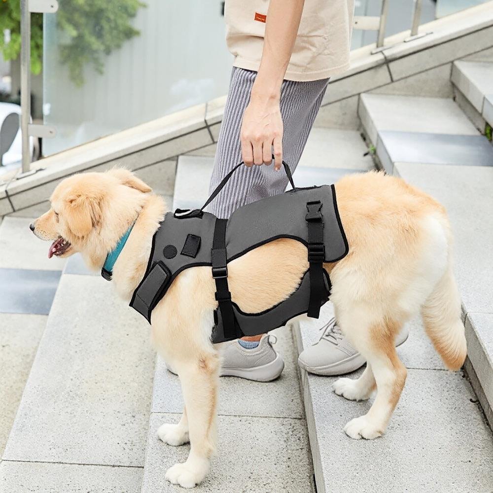 Gentle Support Harness