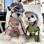 Dog Walk & Adventure Kit 3