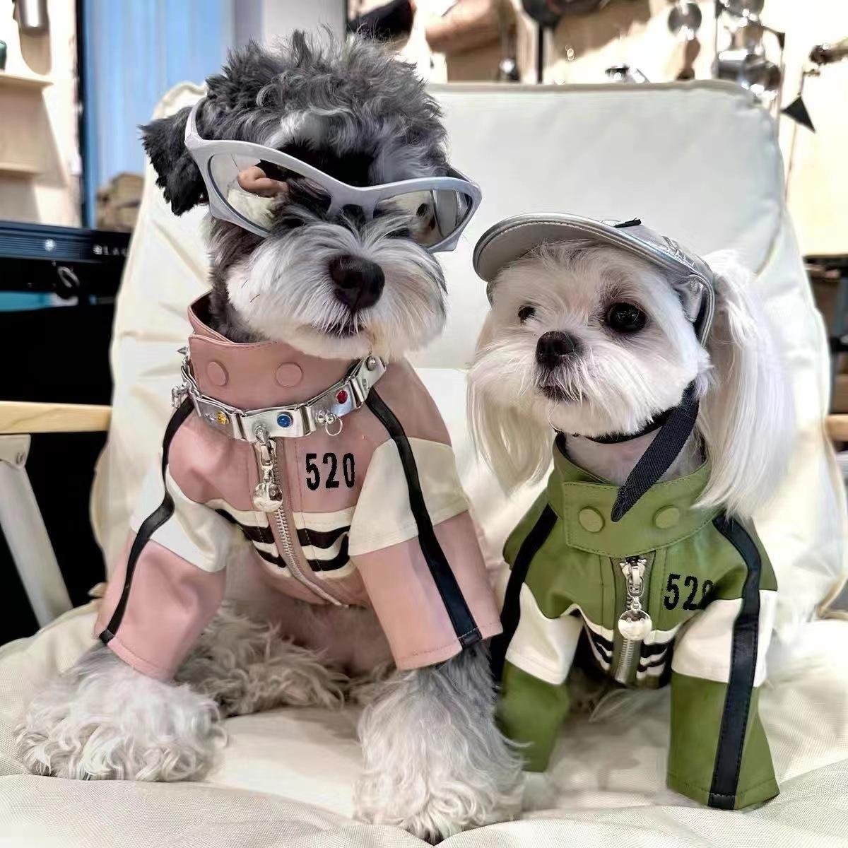 Cozy Rider Pet Jacket
