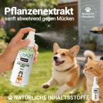 Serenity Spray for Pets 6