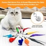 WhisperWorms Calming Cat Companion 2