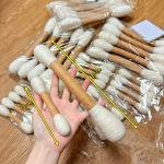 WhisperWand: Gentle Delight for Sensitive Felines 4