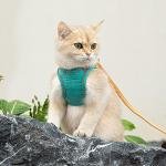 WhisperWrap Cat Harness 4
