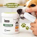 Cat Feeding Essentials Kit 3