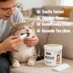 Gentle Dental Care Caps 6