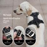 Comfort Wrap Harness 2