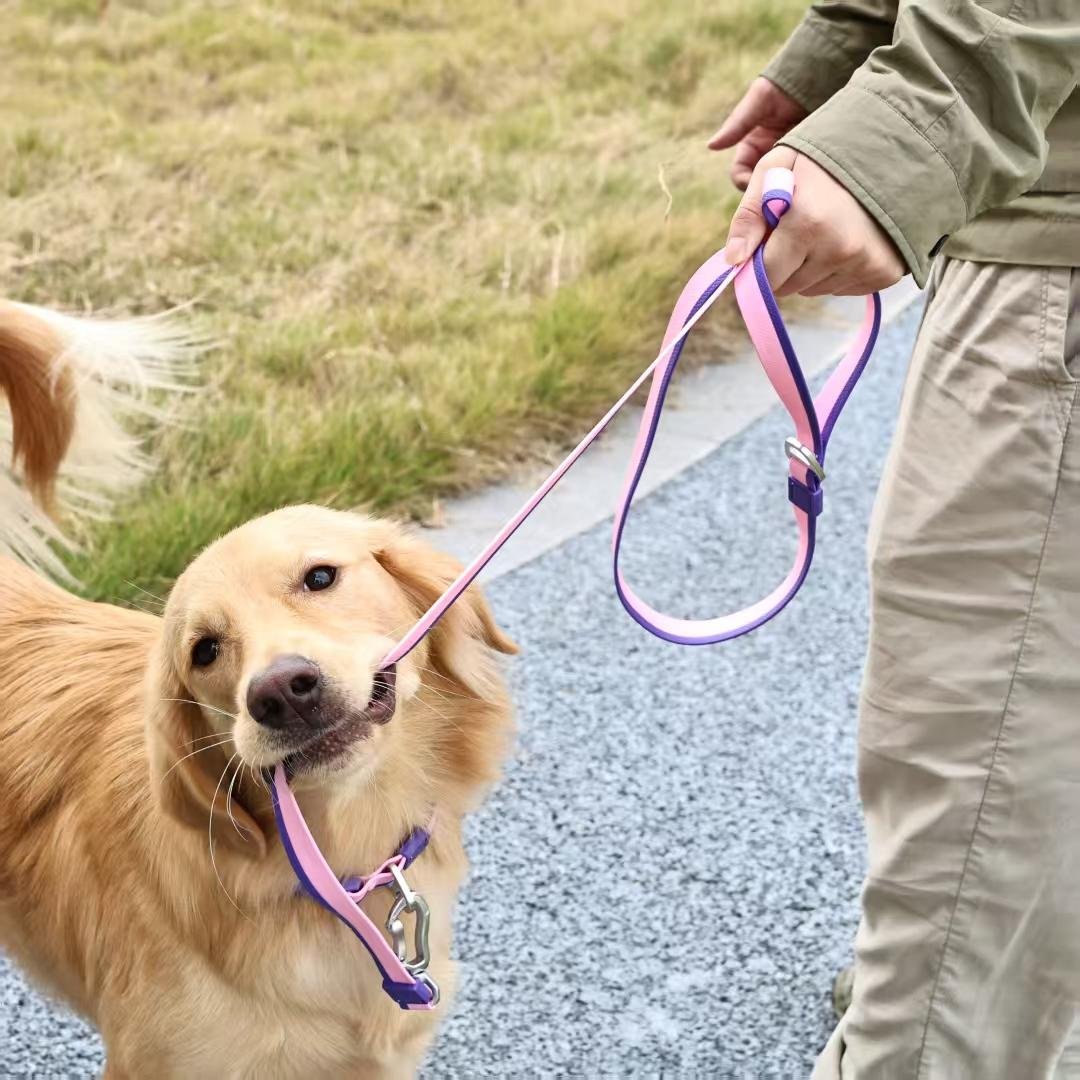 Dual-Color Embossed Pet Leash Set