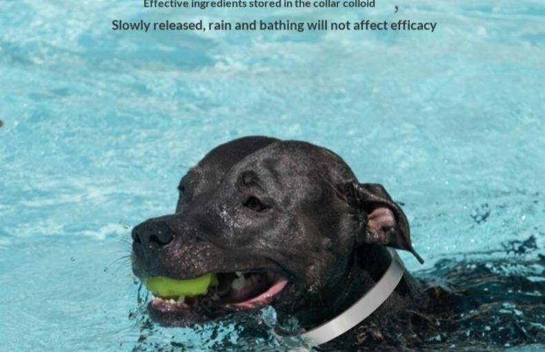 Soothe & Comfort Collar Set