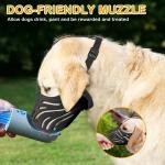 Comfort Muzzle for Sensitive Dogs 5