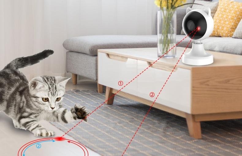 Whisker Whisperer Laser Toy
