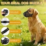 Comfort Muzzle for Sensitive Dogs 4