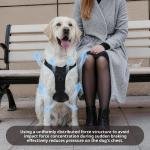 Comfort Wrap Harness 4