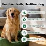 Soothe & Support Oral Spray 3
