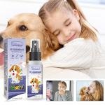 Cat Cozy Comfort Kit 2