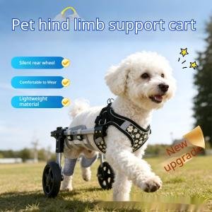 Comfort Support System