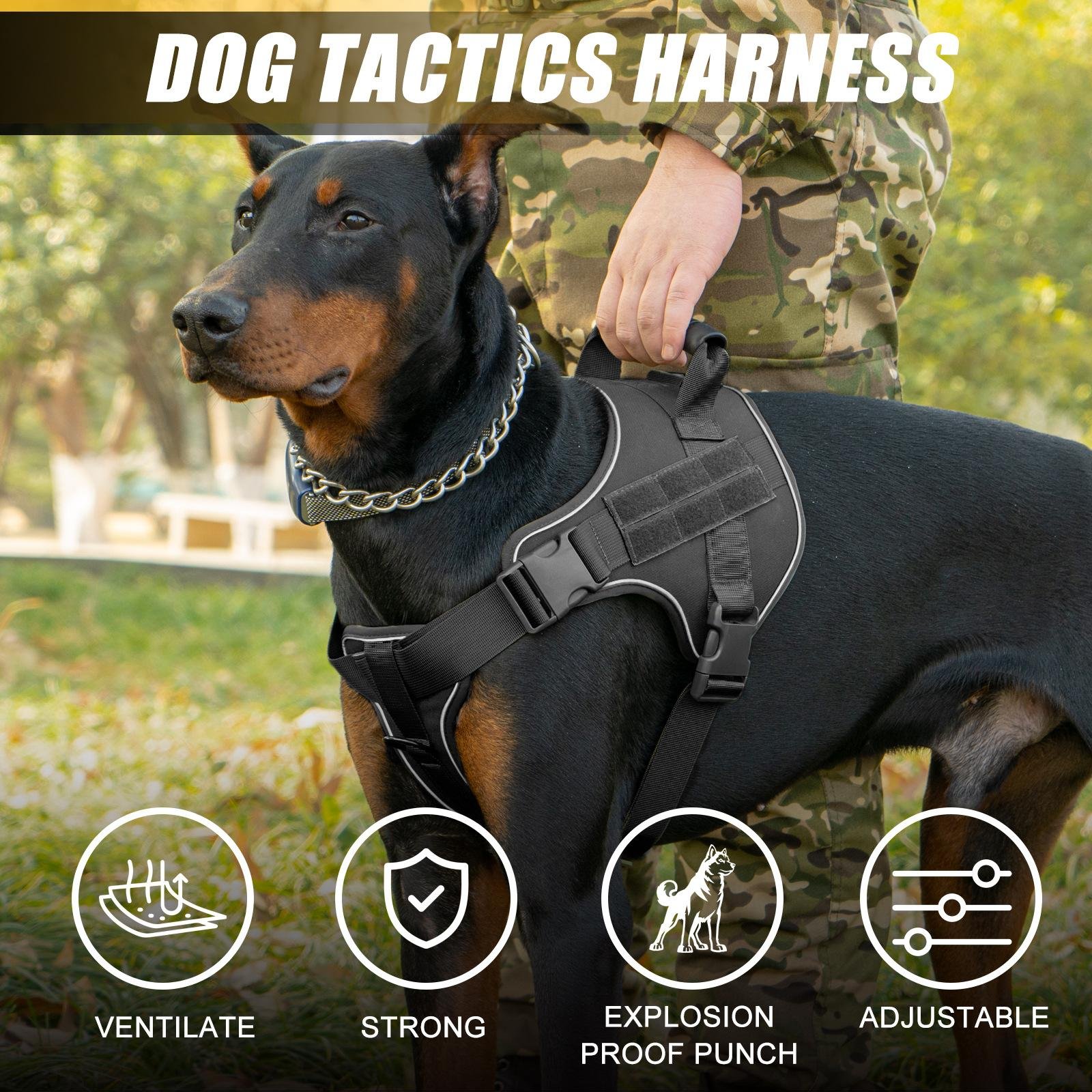 Tranquility Traction Harness