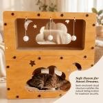 Whispering Haven Cat Retreat 6