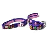 Dual-Color Embossed Pet Leash Set 2
