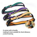 Comfort Crafted Collar 4