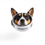 Calm Comfort Collar 7