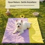 Serenity Travel Companion 2