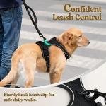ComfortWrap Pet Harness & Leash 5