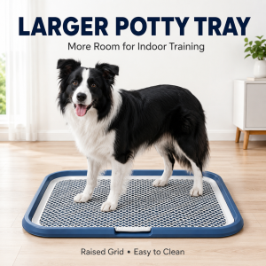 Senior Pet Comfort Haven