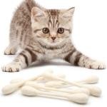 WhisperWand: Gentle Delight for Sensitive Felines 6