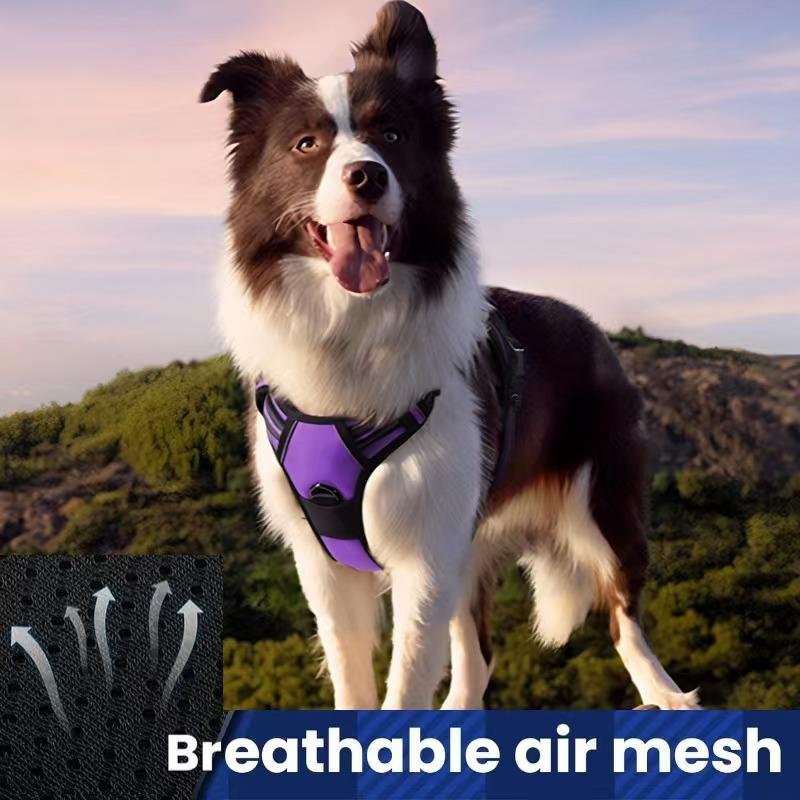 ComfortWrap Pet Harness & Leash