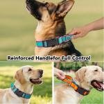 Comfort Crafted Collar 1